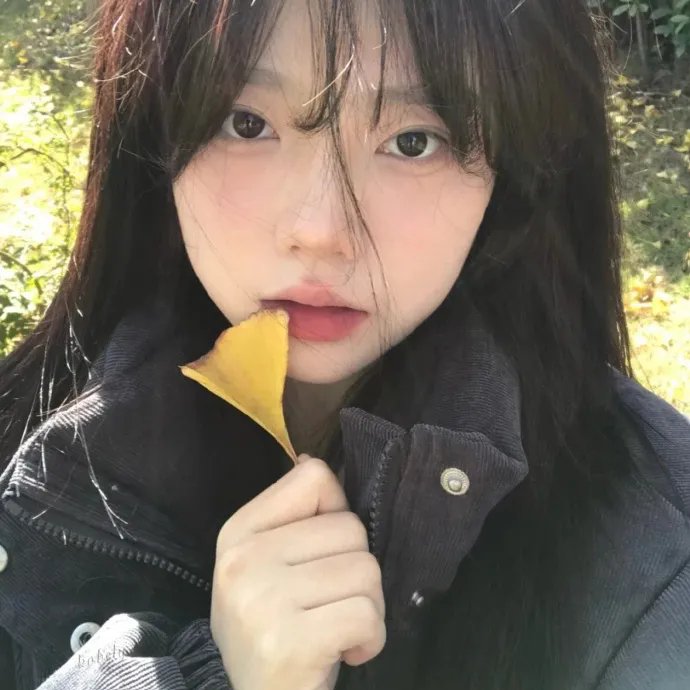 地球守护者